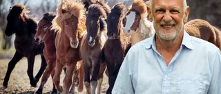 Människan är ett flockdjur och inget annat