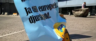Håll tillbaka högerkrafterna genom att rösta i EU valet