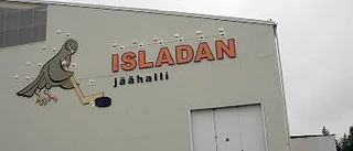 Fronda - om Pajalas ungdomar får välja