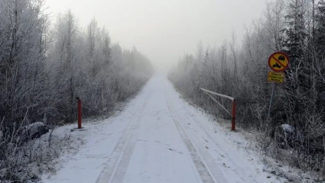 En liten grusväg leder mot området fyra mil väster om Jokkmokk som Beowulf mining mutat in. En framtida gruvbrytning är en het potatis eftersom den bland annat påverkar renskötseln.FOTO: Pär Bäckström