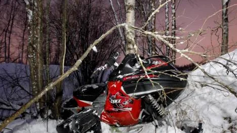 Kraschen mot trädet blev våldsam. Flickan dog senare av sina skador. Pojken blev chockad, men klarade sig utan allvarligare skador.Foto: Jens Ökvist