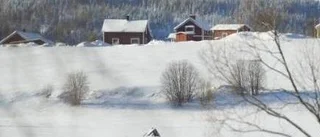 "Katastrofalt"