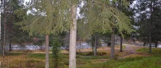 Han hälsar nya stigen välkommen