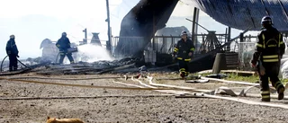 Kor innebrända i brand