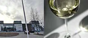 Landstinget kan få servera alkohol