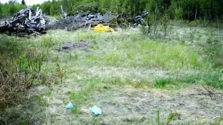 Här - på en illegal soptipp utanför Luleå - hittades den avlivade hunden. Den låg intill ett skotersläp som hade anmälts stulet för ett år sedan.FOTO: Kurt Engström