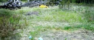 Hund ihjälskjuten på olaglig soptipp