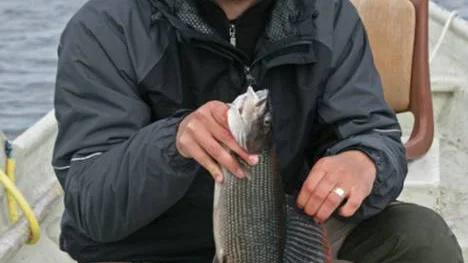 Anton Nurmilampi tog en fin harr på 1,5 kilo ur Torne älv, i närheten av Kiruna, med haspelrulle och fluga.