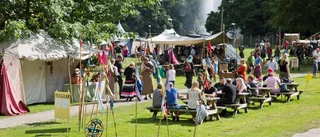 Vikingar intog Linköping