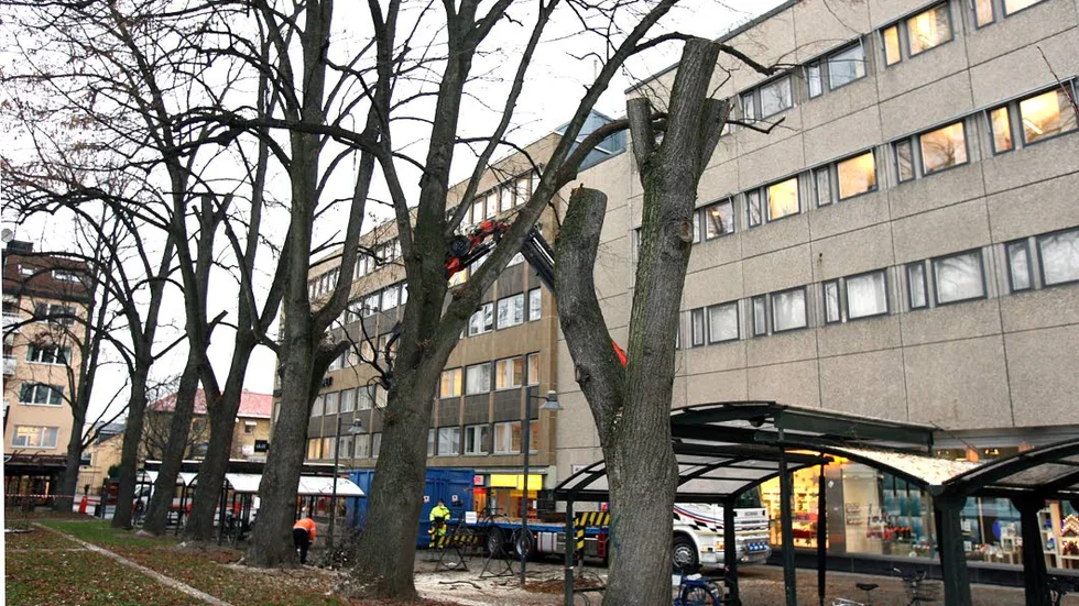 En kvinna blev bestulen i S:t Larsparken i Linköping.
