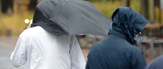 Lugnet före stormen