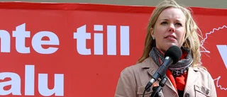 Snecker (V) gick hårt åt välfärdsvinster