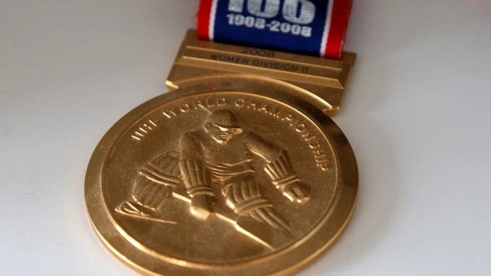 Guld i VM, division 2 i Finland år 2008.