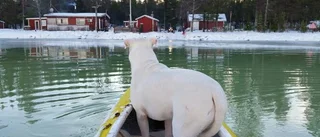 Blidvädret är ju kanooo...t!