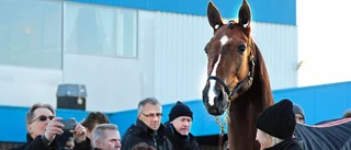 Östergötland hoppas på Nirvana