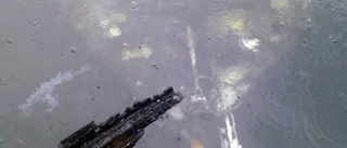 Här bärgas den eldhärjade segelbåten