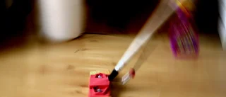 Intresset för rut ökar