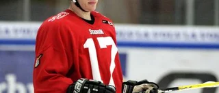 Luleå Hockey har pratat med Hynning