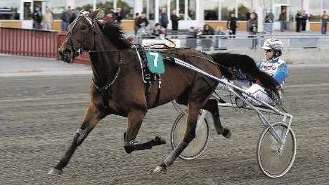 Ove A Lindqvist, här med Flicka Rigas, vann Midsommarkransen med Kerstin Lundbergs Jackpot Gelj.