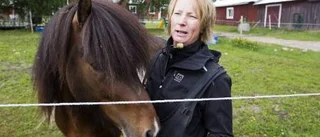Hästar - livet för flickor på sommarläger