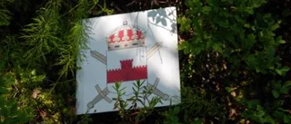 Bandvagnsmysteriet