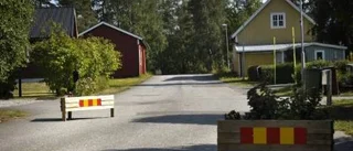 Blomlådor upprör