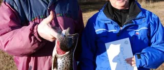 Fiskeseger gav en bra slant
