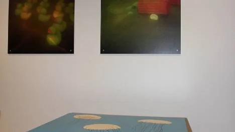 "Det stora blå" tar sig uttryck i undervattensfoton och fantasifulla möbler i barnhörnan.  FOTO: Maria Ödalen