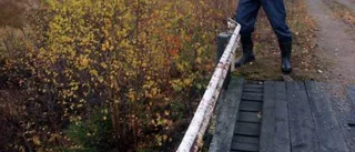 En resa bland minnen längs Mjöträskvägen