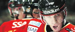 Bu eller Bärtecko?