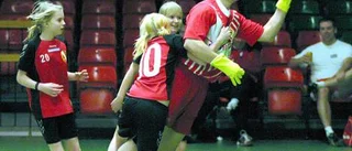 Kroken bjöd på en dag i handbollens tecken