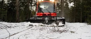 I stormens spår