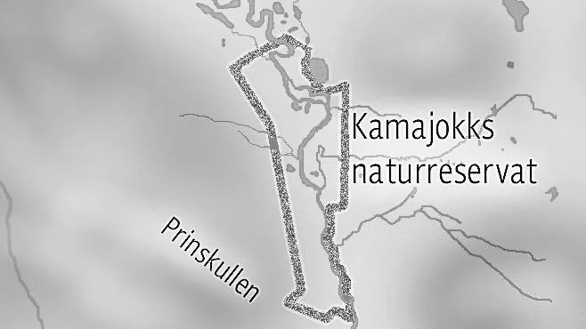 630 hektar, strax norr om Kvikkjokk, blir Kamajokks naturreservat har regeringen beslutat.