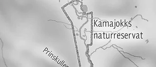 Nytt naturreservat bildas - trots massiva protester