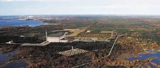 "Vi ska inte leka kärnkraftspoliser"