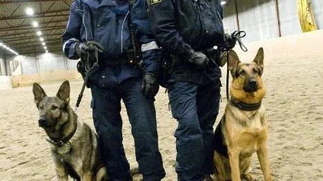 Thomas Kemi med tjänstehunden Risto och Ingemar Gustavsson med Nicke var samtliga en stor del i att rånet mot Handelsbanken i Älvsbyn kunde klaras upp. Foto: HANS L OLOFSSON