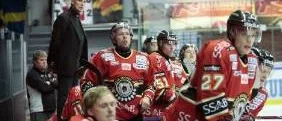 Omgång 8: Luleå nollat av Brynäs