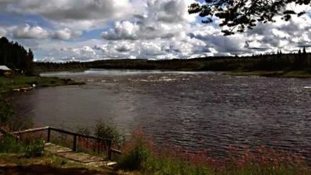 Det gränslösa sportfisket. Kaalamakoski i Muonioälven.
Foto; Gunnar Westrin.
