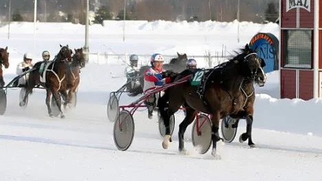 V4-dubbeln är ett faktum. Mats Åke Nilsson vinner sista avdelningen med elvaoddsaren Ekin.
