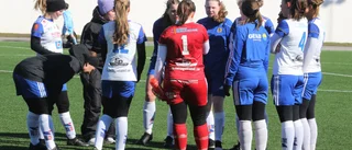 Anrika föreningen tar nya tag i ny serie och med ny tränare