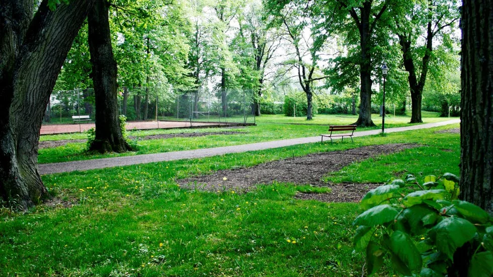 Asylenparken. Vad döljs under marken där bebyggelse är planerad?