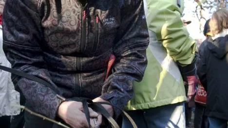Stina Ejderlöfs två kinesiska nakenhundar brydde sig föga om eldar och fyrverkerier. De var mer intresserade av att lukta på blommor.