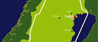 Flygövning i renområde stör kalvning