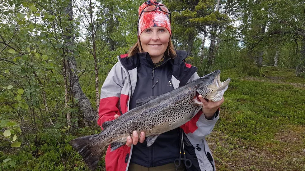 Tjejernas etapp. I den sjätte etappen av Fiske-DM är det tjejerna som imponerar. Lena Kusmin, Kiruna är en av dem , och har dragit upp den här fina öringen på drygt tre kilo i Marsijärvi.
