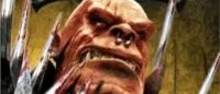 Fantasy Wars (PC)