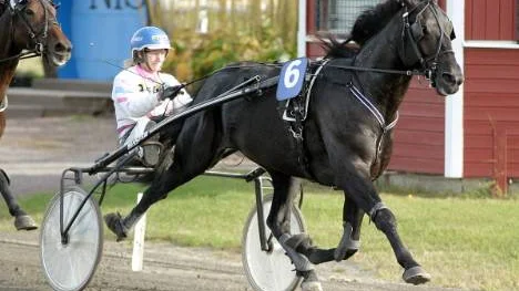 Amatörtränade Main Target var femstjärnig för Gunnel Fredriksson och tog en ohotad seger i V4-2.