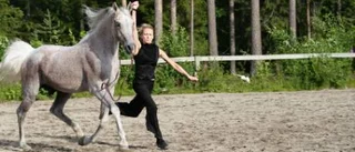 Serum - han kom, han sågs, han segrade