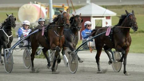Clear Sign (6) gjorde ett kanonlopp i V75-7 när han tvingades göra grovjobbet utvändigt ledande vinnaren Bob Hope och Jorma Kontio.