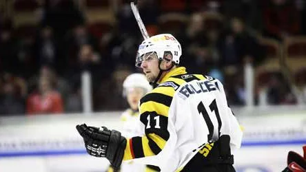 Pavel Skrbek skellefteå AIK