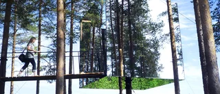 Året i bilder